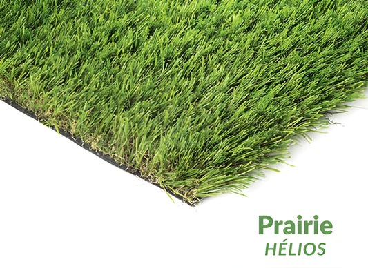 Prairie Hélios